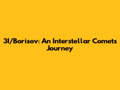3I/Borisov: An Interstellar Comet's Journey
