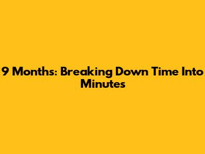 9 Months: Breaking Down Time Into Minutes