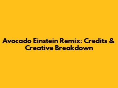 Avocado Einstein Remix: Credits & Creative Breakdown