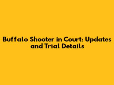Buffalo Shooter in Court: Updates and Trial Details