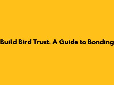 Build Bird Trust: A Guide to Bonding