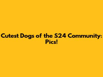Cutest Dogs of the S24 Community: Pics!