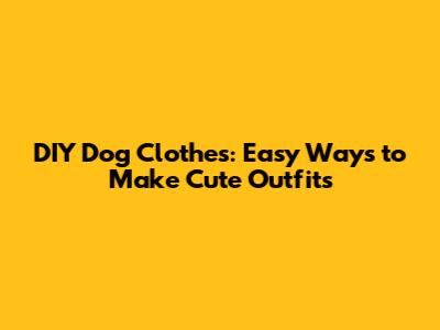 DIY Dog Clothes: Easy Ways to Make Cute Outfits