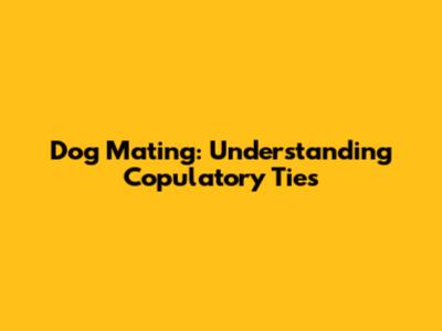 Dog Mating: Understanding Copulatory Ties