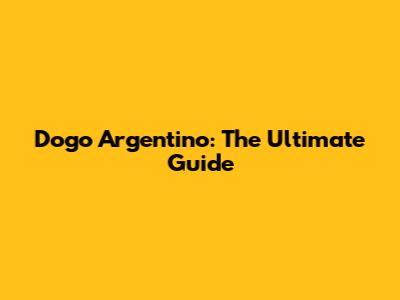 Dogo Argentino: The Ultimate Guide