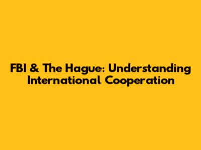 FBI & The Hague: Understanding International Cooperation
