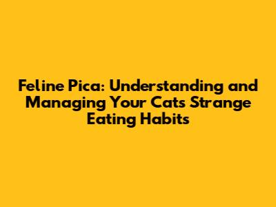 Feline Pica: Understanding and Managing Your Cat's Strange Eating Habits