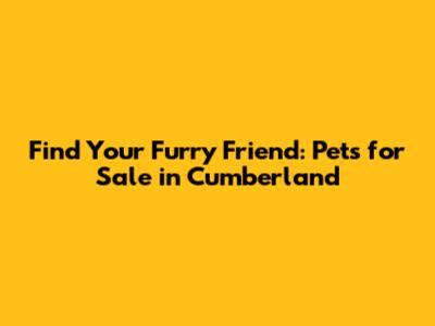 Find Your Furry Friend: Pets for Sale in Cumberland