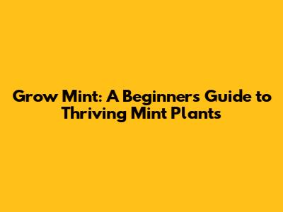 Grow Mint: A Beginner's Guide to Thriving Mint Plants