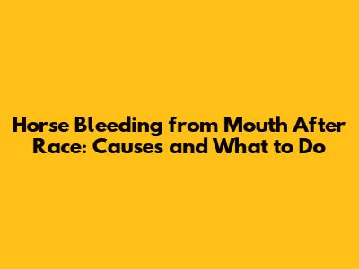 Horse Bleeding from Mouth After Race: Causes and What to Do