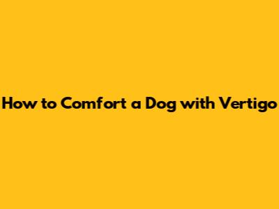 How to Comfort a Dog with Vertigo