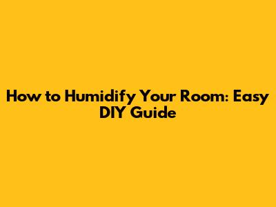 How to Humidify Your Room: Easy DIY Guide