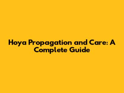 Hoya Propagation and Care: A Complete Guide