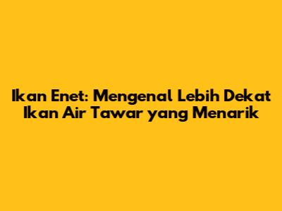 Ikan Enet: Mengenal Lebih Dekat Ikan Air Tawar yang Menarik