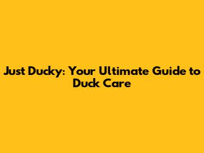 Just Ducky: Your Ultimate Guide to Duck Care