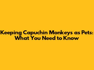 Keeping Capuchin Monkeys as Pets: What You Need to Know
