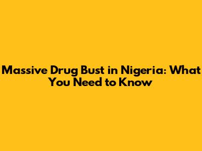 Massive Drug Bust in Nigeria: What You Need to Know