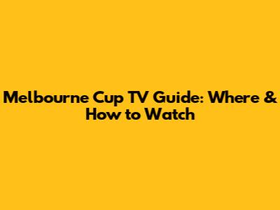 Melbourne Cup TV Guide: Where & How to Watch