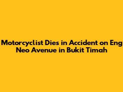 Motorcyclist Dies in Accident on Eng Neo Avenue in Bukit Timah