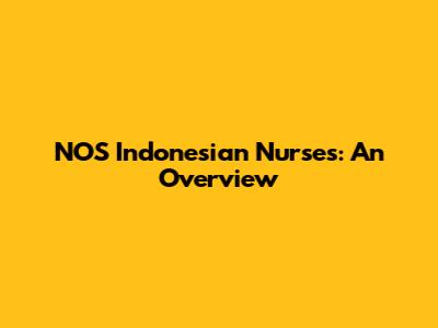 NOS Indonesian Nurses: An Overview