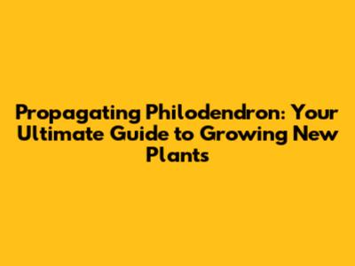 Propagating Philodendron: Your Ultimate Guide to Growing New Plants