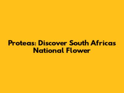 Proteas: Discover South Africa's National Flower