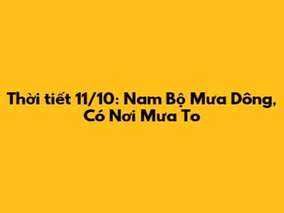 Thời tiết 11/10: Nam Bộ Mưa Dông, Có Nơi Mưa To
