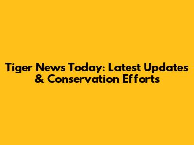 Tiger News Today: Latest Updates & Conservation Efforts