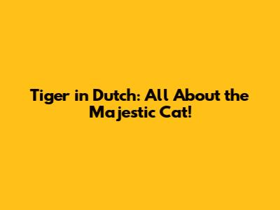 Tiger in Dutch: All About the Majestic Cat!