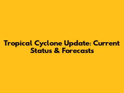 Tropical Cyclone Update: Current Status & Forecasts