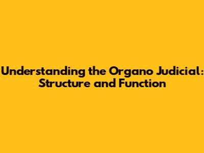 Understanding the Organo Judicial: Structure and Function