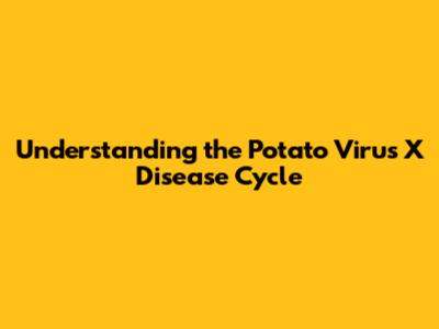 Understanding the Potato Virus X Disease Cycle