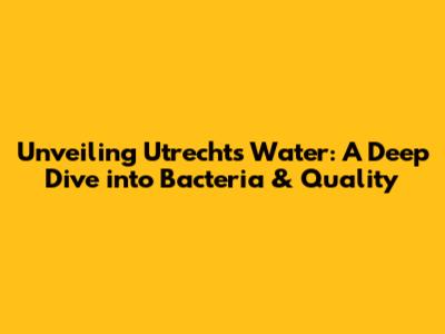 Unveiling Utrecht's Water: A Deep Dive into Bacteria & Quality