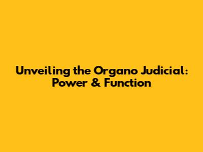 Unveiling the Organo Judicial: Power & Function