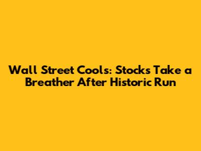 Wall Street Cools: Stocks Take a Breather After Historic Run