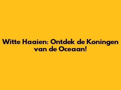 Witte Haaien: Ontdek de Koningen van de Oceaan!