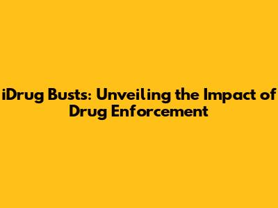 iDrug Busts: Unveiling the Impact of Drug Enforcement